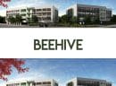 beehive 1